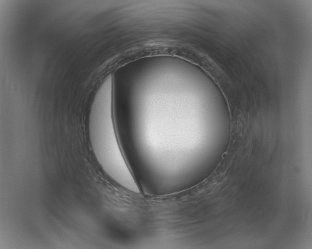 X0000068260821200604210912