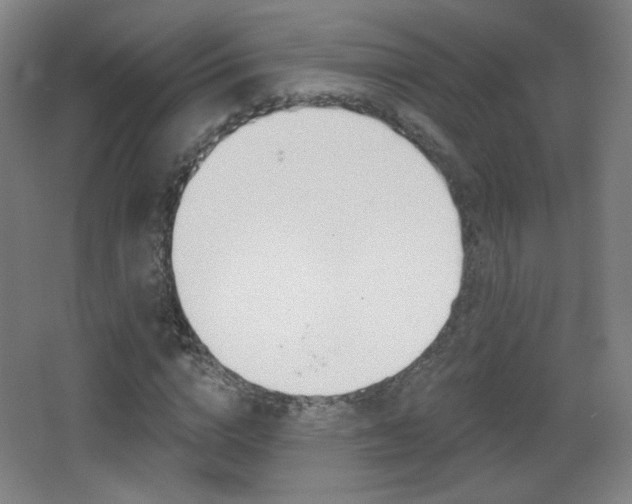 X0000068260824200604210912