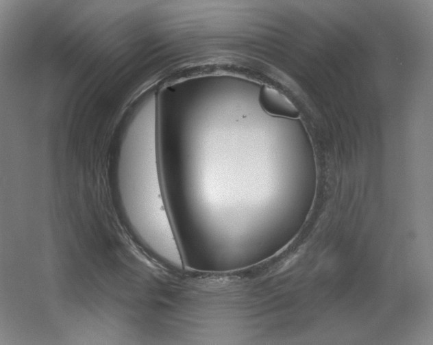 X0000068260826200604210912