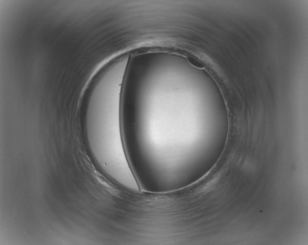 X0000068260830200604210912
