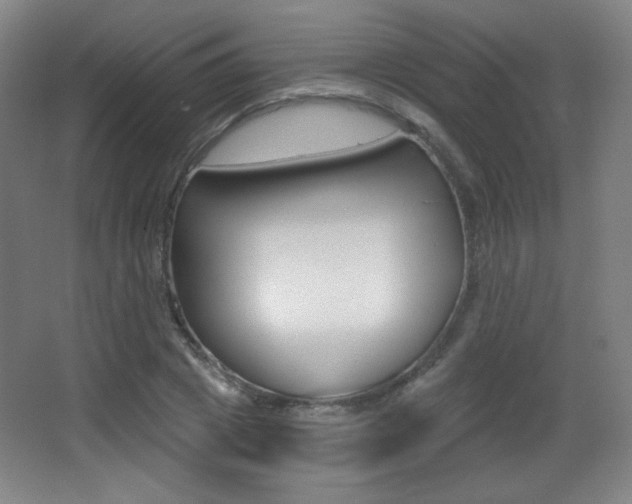 X0000068260833200604210912