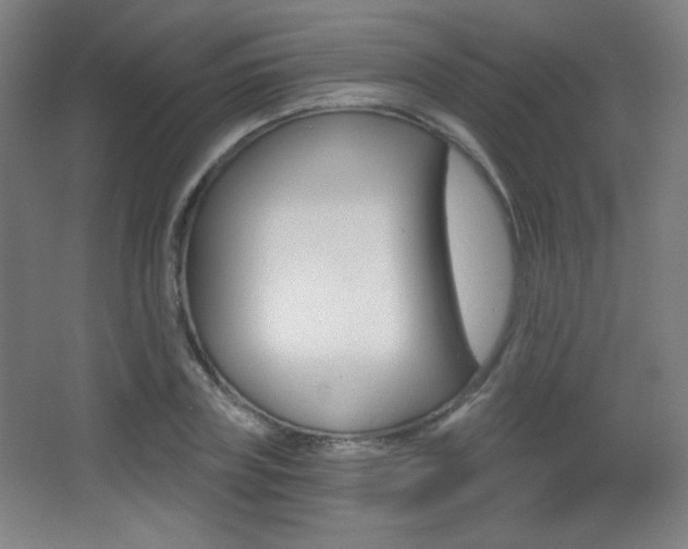 X0000068260835200604210912