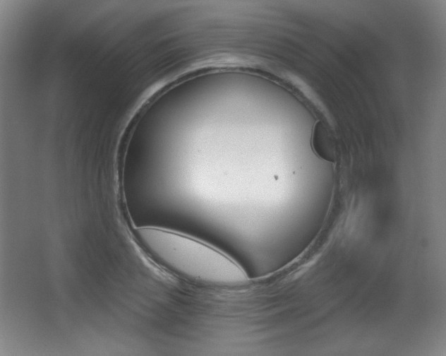 X0000068260837200604210912