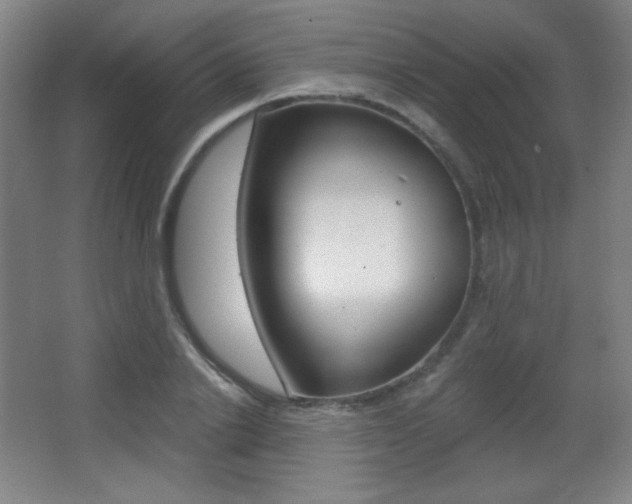 X0000068260838200604210912