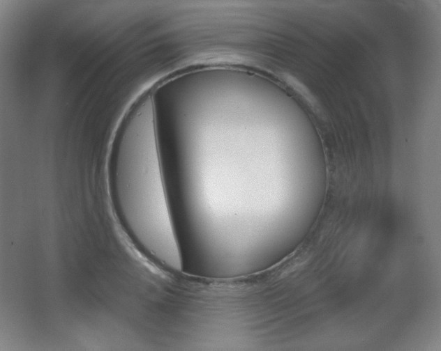 X0000068260840200604210912