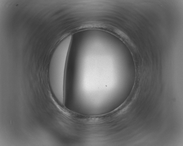 X0000068260841200604210912