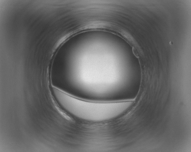 X0000068260842200604210912