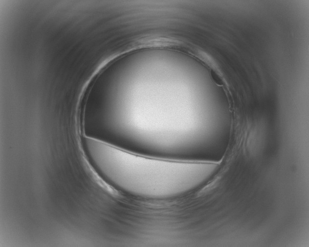 X0000068260843200604210912