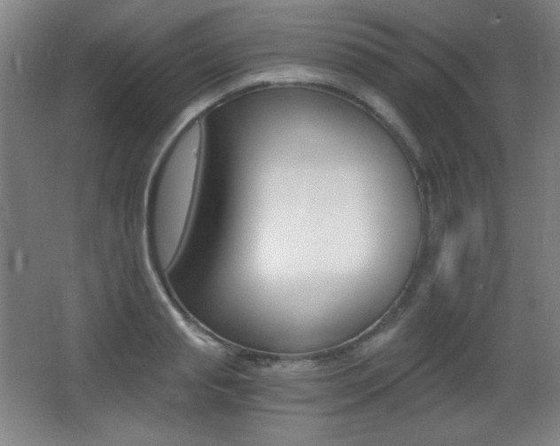 X0000068260845200604210912