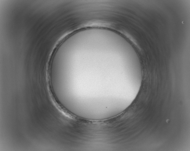 X0000068260848200604210912