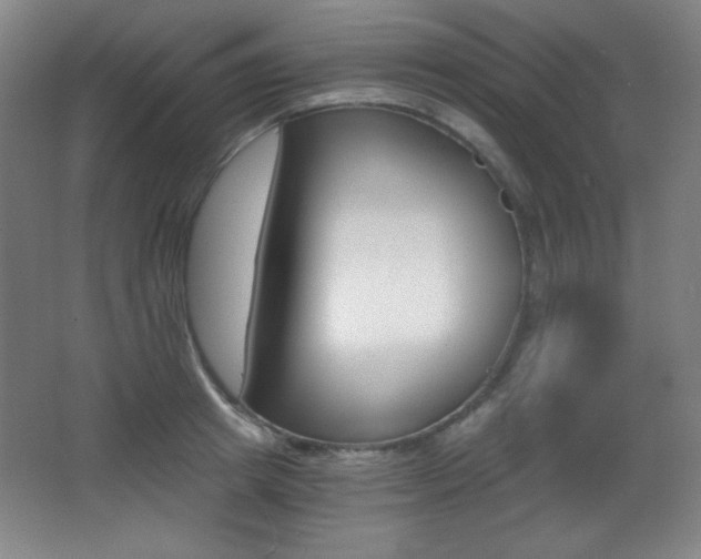 X0000068260849200604210912
