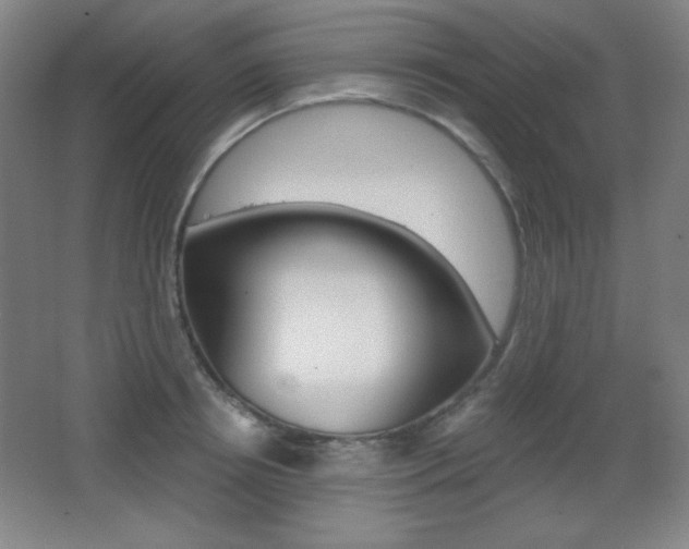 X0000068260850200604210912