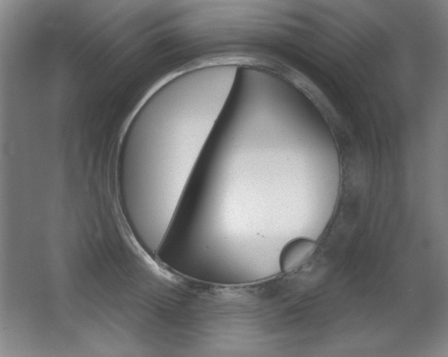 X0000068260852200604210912
