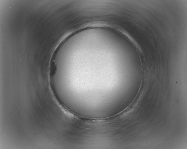 X0000068260853200604210912