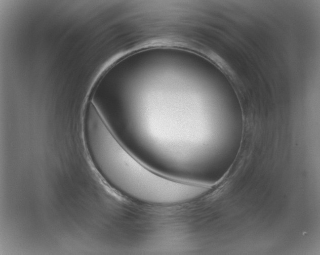 X0000068260854200604210912