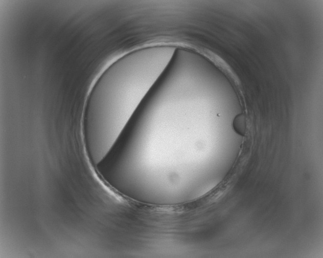 X0000068260855200604210912