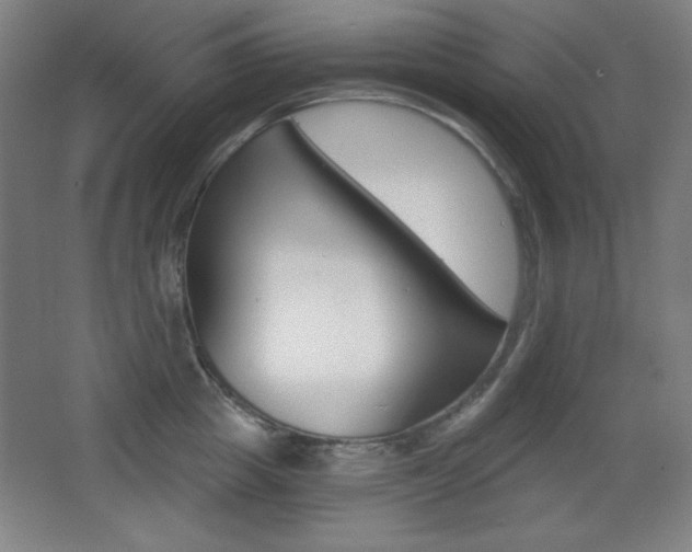 X0000068260857200604210912