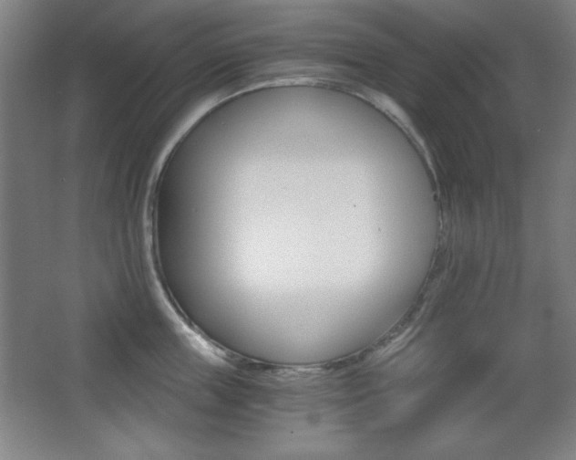 X0000068260859200604210912
