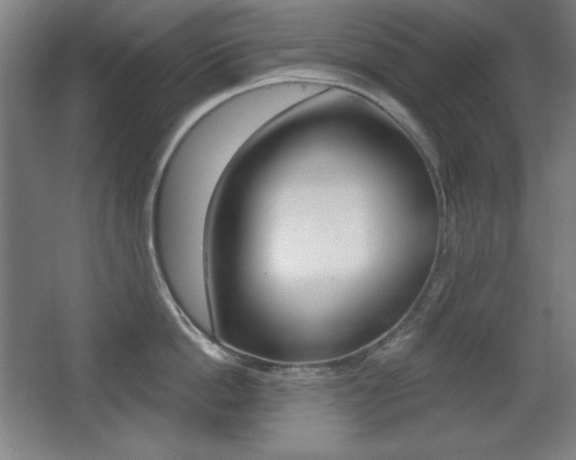 X0000068260862200604210912