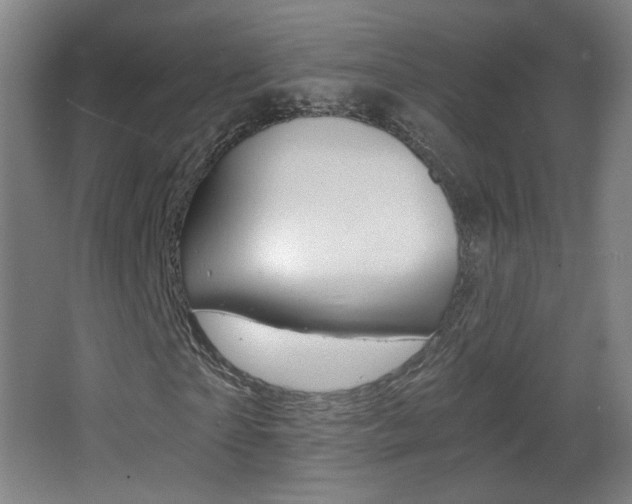 X0000068260865200604210912