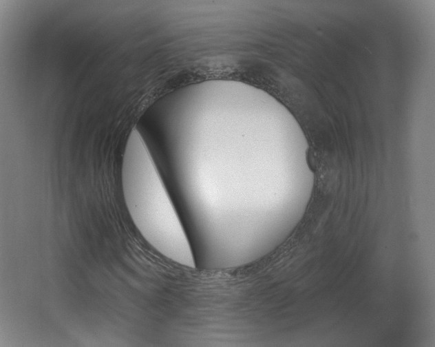 X0000068260866200604210912