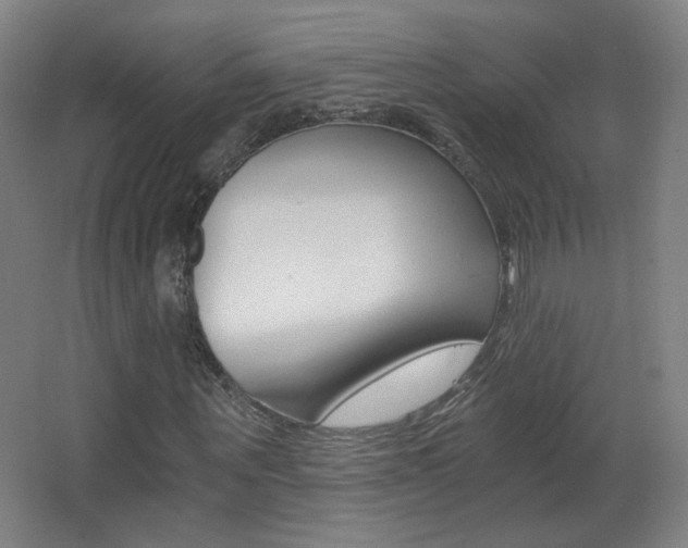 X0000068260867200604210912