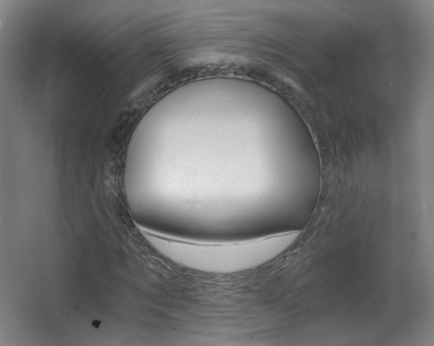 X0000068260869200604210912