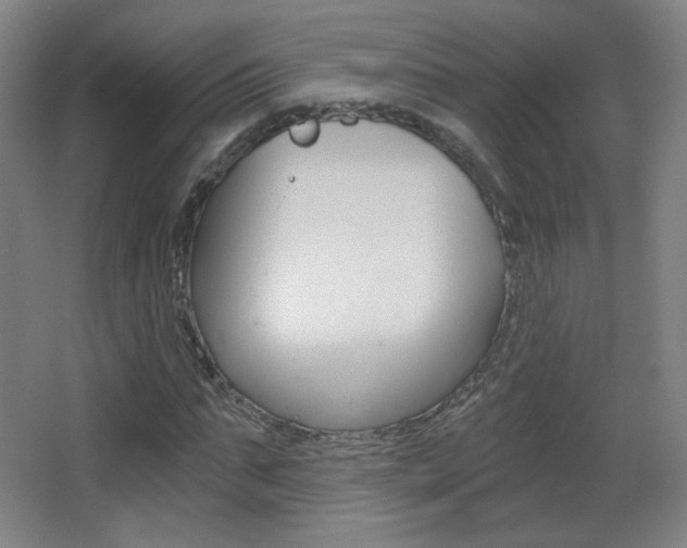 X0000068260871200604210912