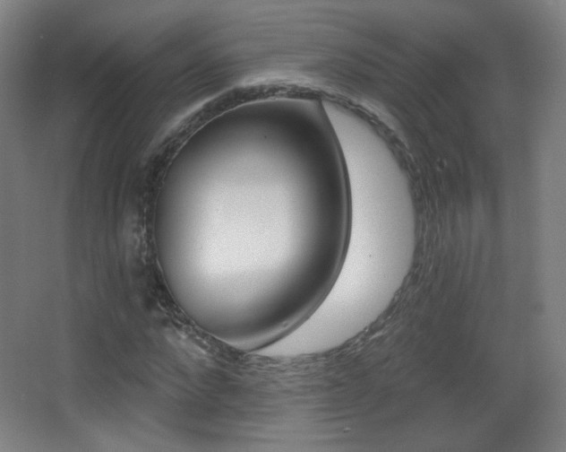 X0000068260872200604210912