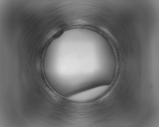 X0000068260873200604210912