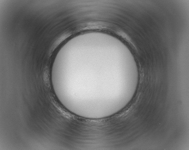 X0000068260874200604210912