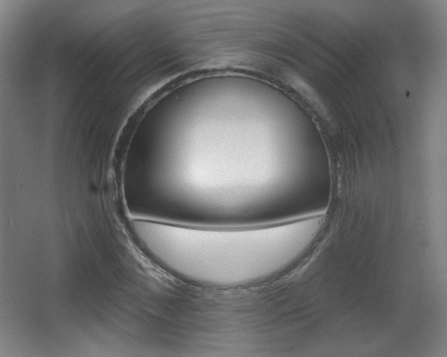 X0000068260876200604210912