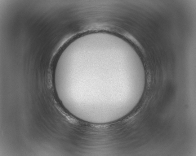 X0000068260878200604210911