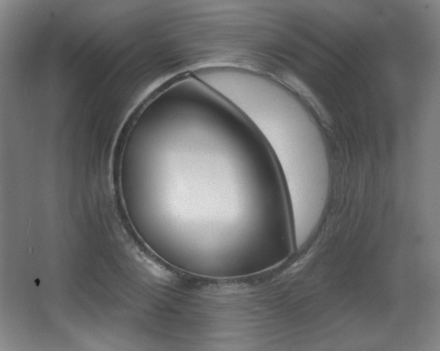 X0000068260884200604210911