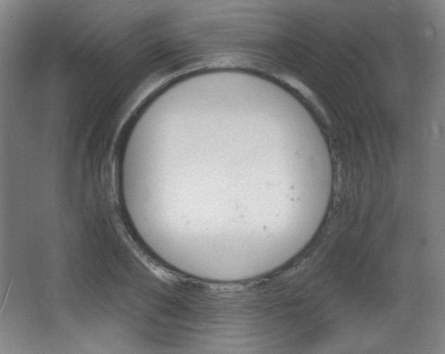 X0000068260886200604210911