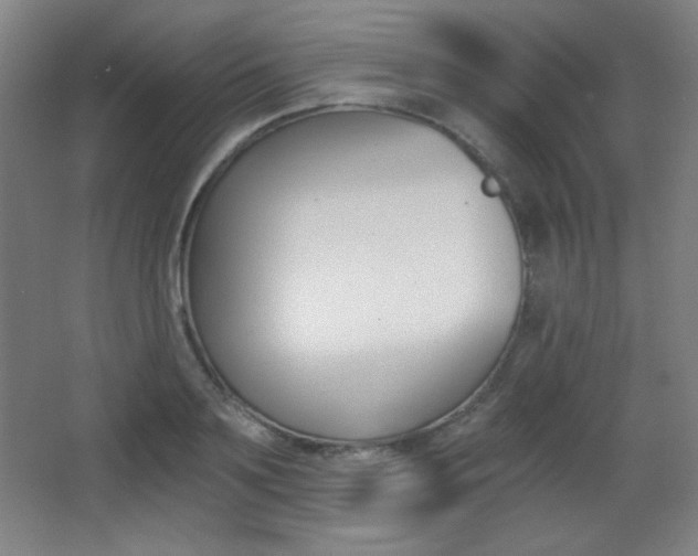 X0000068260891200604210911