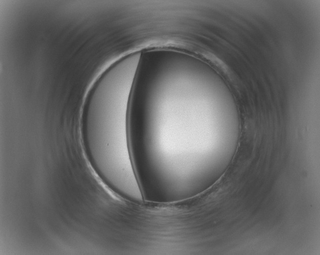 X0000068260894200604210911