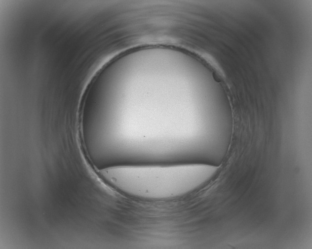 X0000068260895200604210911