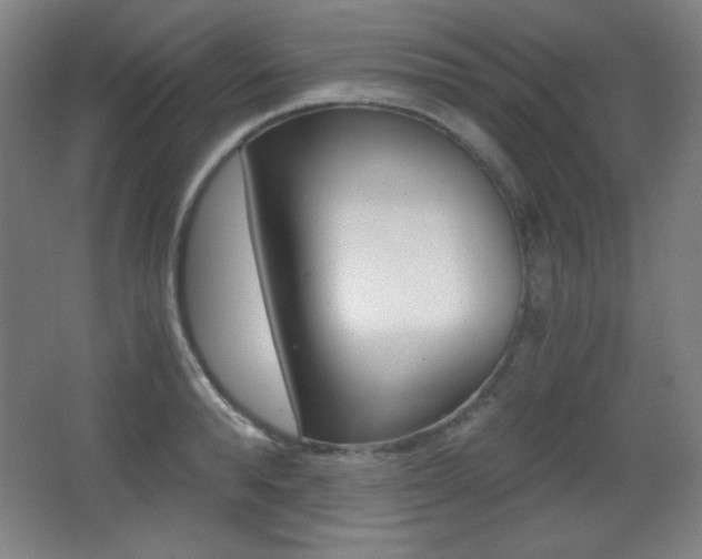 X0000068260896200604210911