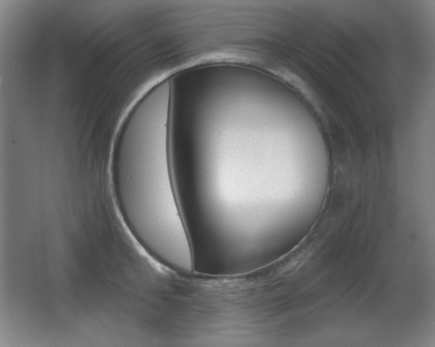 X0000068260902200604210911
