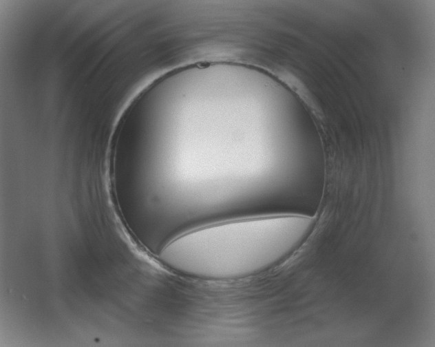 X0000068260904200604210911