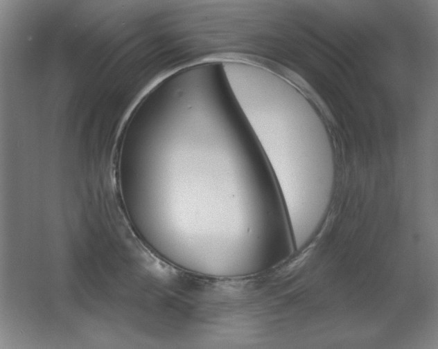X0000068260908200604210911