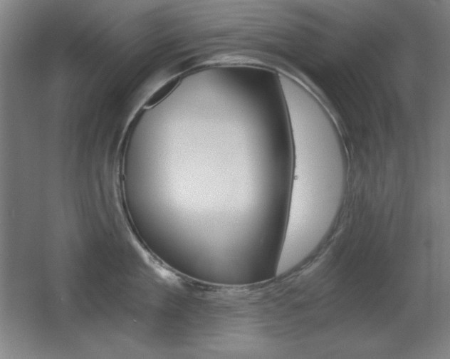 X0000068260909200604210911