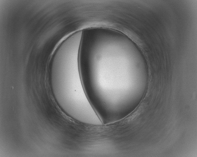 X0000068260912200604210911