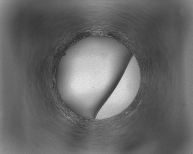 X0000068260913200604210910
