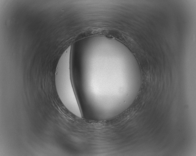 X0000068260914200604210910