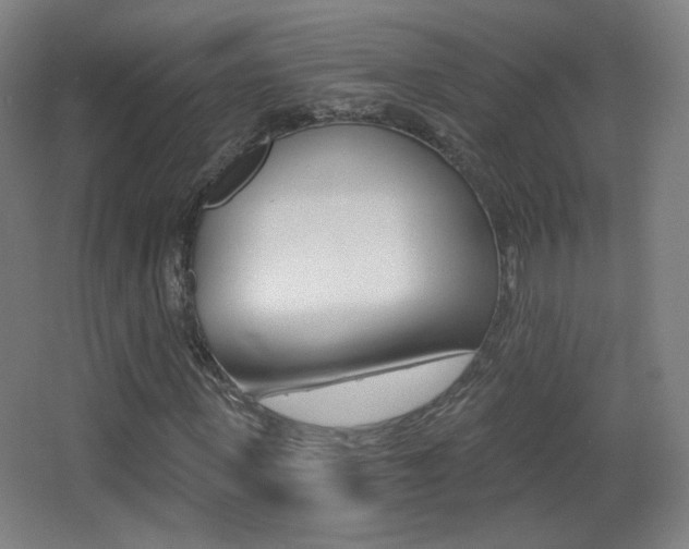 X0000068260915200604210910