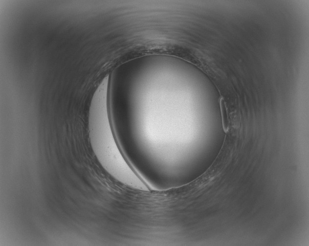 X0000068260916200604210910