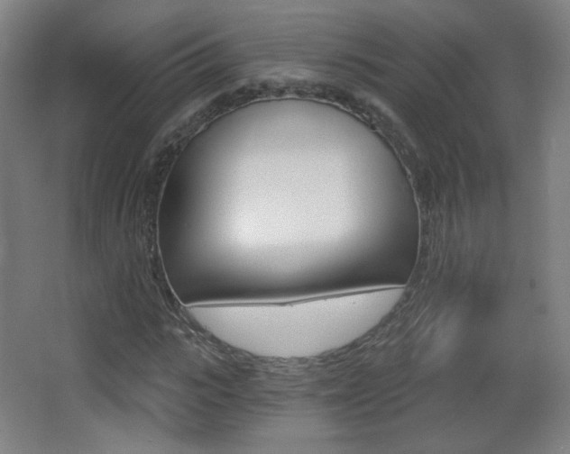 X0000068260919200604210910