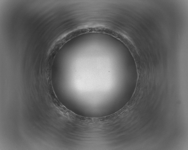 X0000068260920200604210910